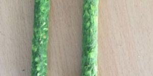Adult Green Mint Munchy Stick