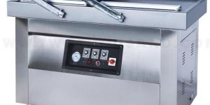 DZ-600 2SB Double Chamber Vacuum Packing Machine