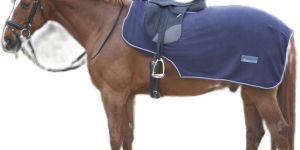 Horse Rugs