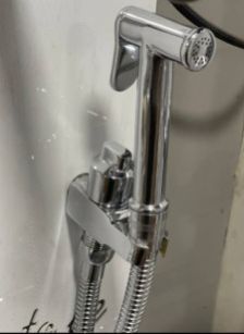 Brass Health Faucets