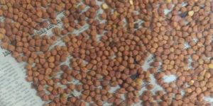 RED LENTIL WHOLE WITH SKIN