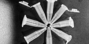 Micro Centrifuge Tubes