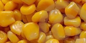 Frozen Sweet Corn