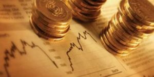 User Business Project Financing Service