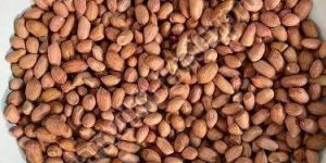 120/140 Java Groundnut Kernels