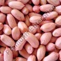 40/50 Java Groundnut Kernels