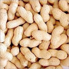 Shelled Peanuts
