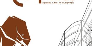 Construction Adhesives