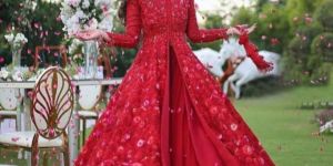Ladies Designer Gown
