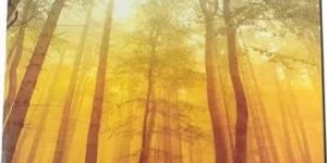 180 Pages A4 Size Notebook