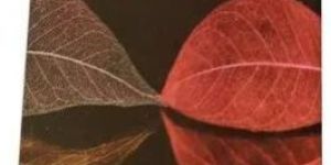 40 Pages Swastic Executive Pad