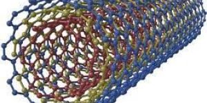 CARBON NANOTUBES(CD BIOPARTICLES)