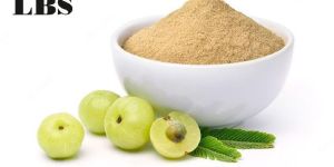 Amla Powder (Phyllanthus Emblica)