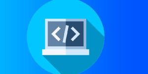 Website Development Services