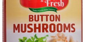 Canned Mushroom