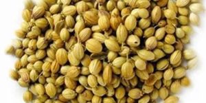 Coriander Seeds