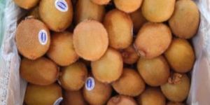 Kiwi Fruit