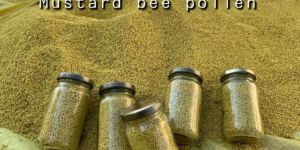 Bee Pollen