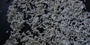 Nano Silver Catalyst