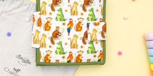 Animal Soft Chalk Book