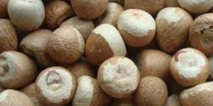 Moti Whole Betel Nut