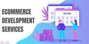 Ecommerce Web Development Service