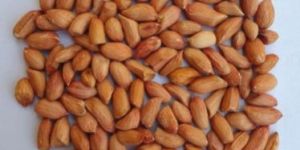 Whole Peanut Seeds