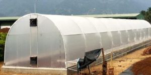 Greenhouse Solar Dryer