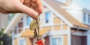 Real Estate Consultant