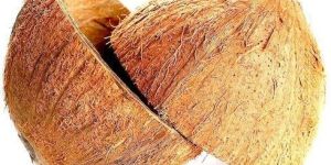 Coconut Shell