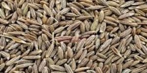 Cumin Seeds