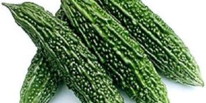 Fresh Bitter Gourd
