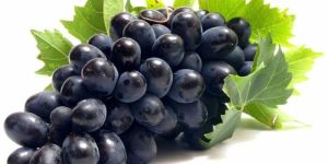 Fresh Black Grapes
