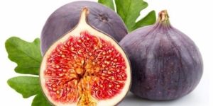 Fresh Fig
