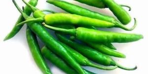 Fresh Green Chilli