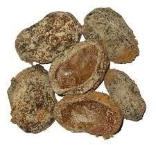 Sun Dried Salty Mango