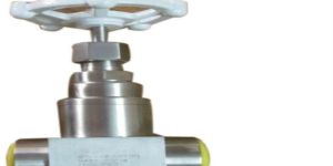 Stainless Steel Gate Valves