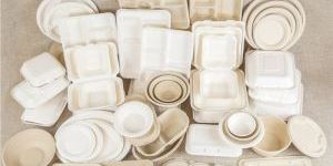 Biodegradable Plates