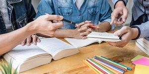 Educational Consultant