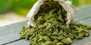 Green Cardamom