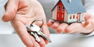 Real Estate Agent