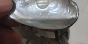 Fresh Water Cultural Pearl