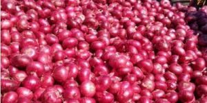 Onions