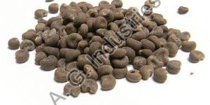 Ambrette Seed Oil