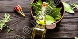 Curry Leaf Oil