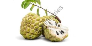 Custard Apple Seed Oil