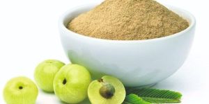 Dried Amla Powder