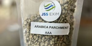 Green Arabica Plantation AAA Grade Coffee Beans