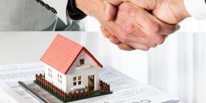 Real Estate Agent