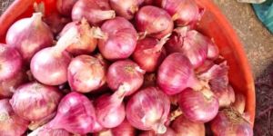 Onions